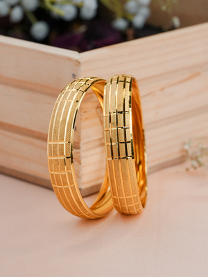 Kritika Bangle ( Set Of 2)