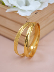 Aashvi Bangle ( Set of 2)