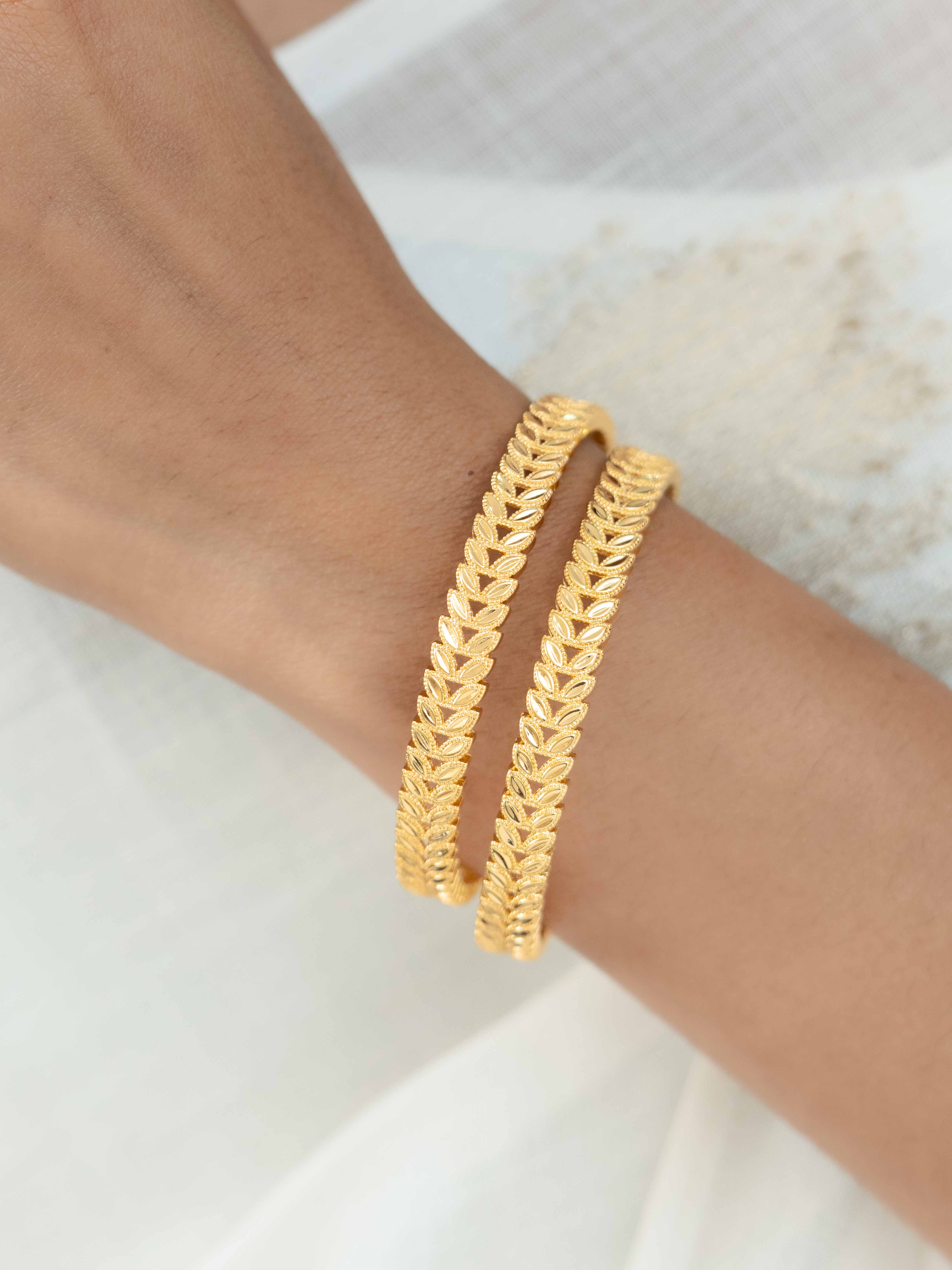 Paridhi Bangle (Set Of 2)