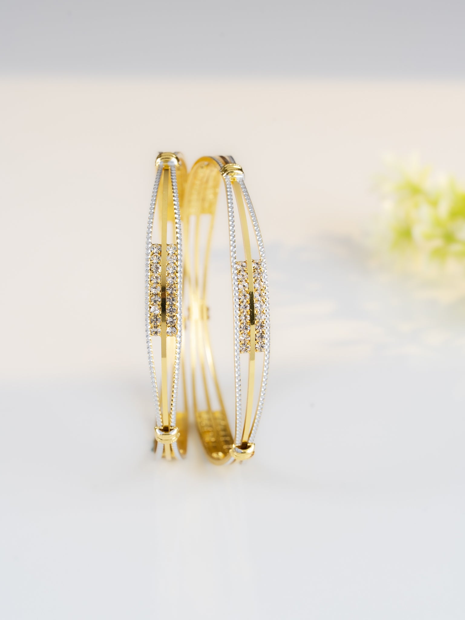 Nehal bangle ( Set Of 2 )
