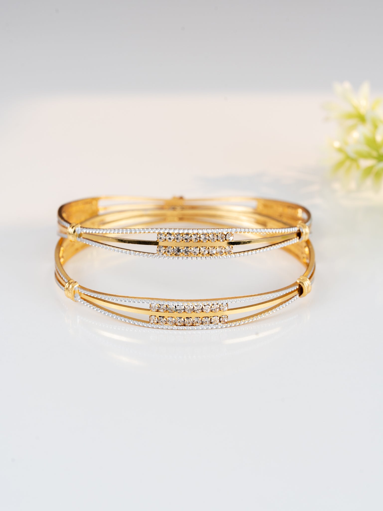 Nehal bangle ( Set Of 2 )