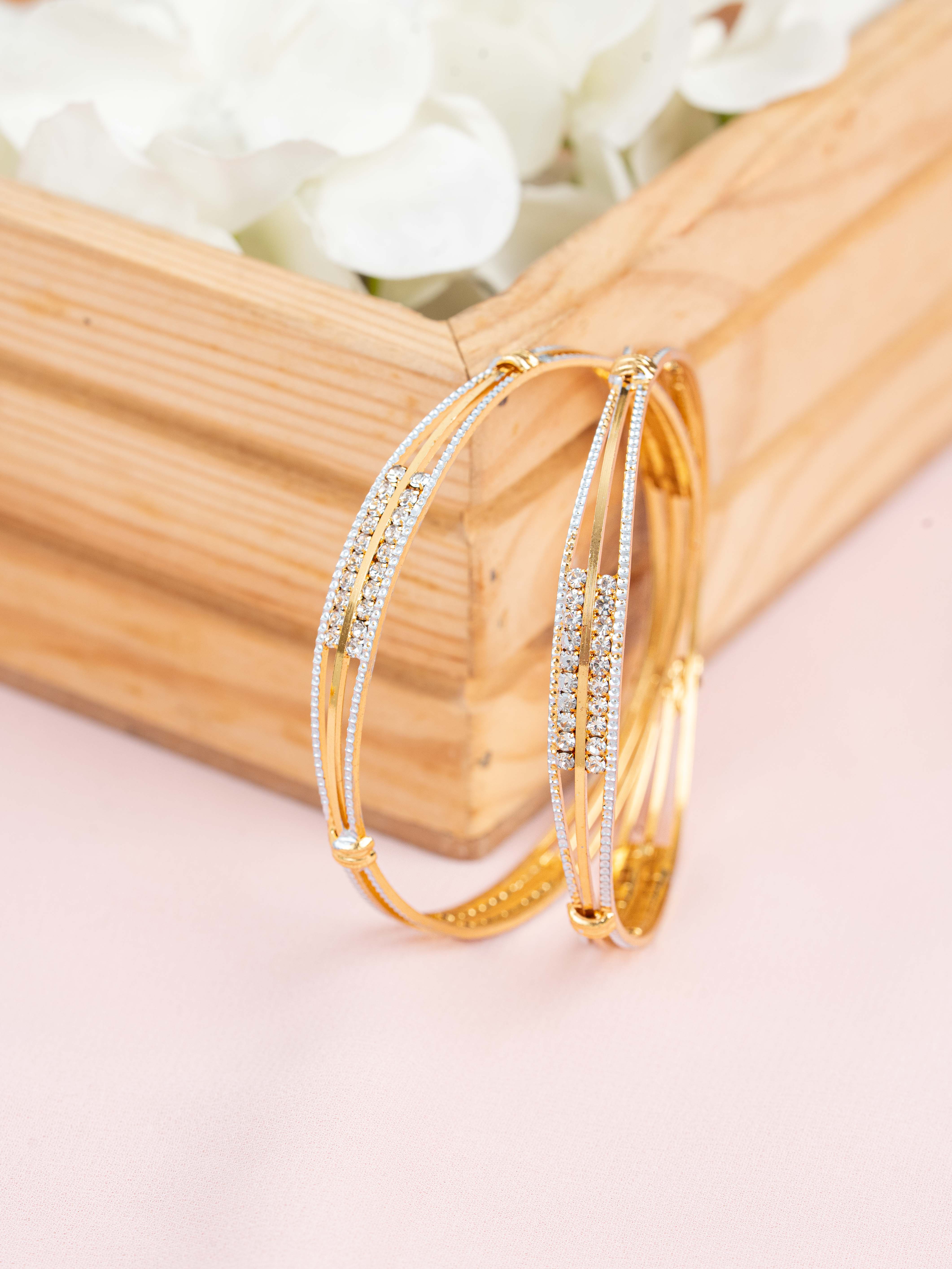 Nehal bangle ( Set Of 2 )