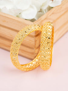 Rani Bangle   ( Set of 2)