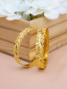 Nidhi Bangle.   (Set of 2 )