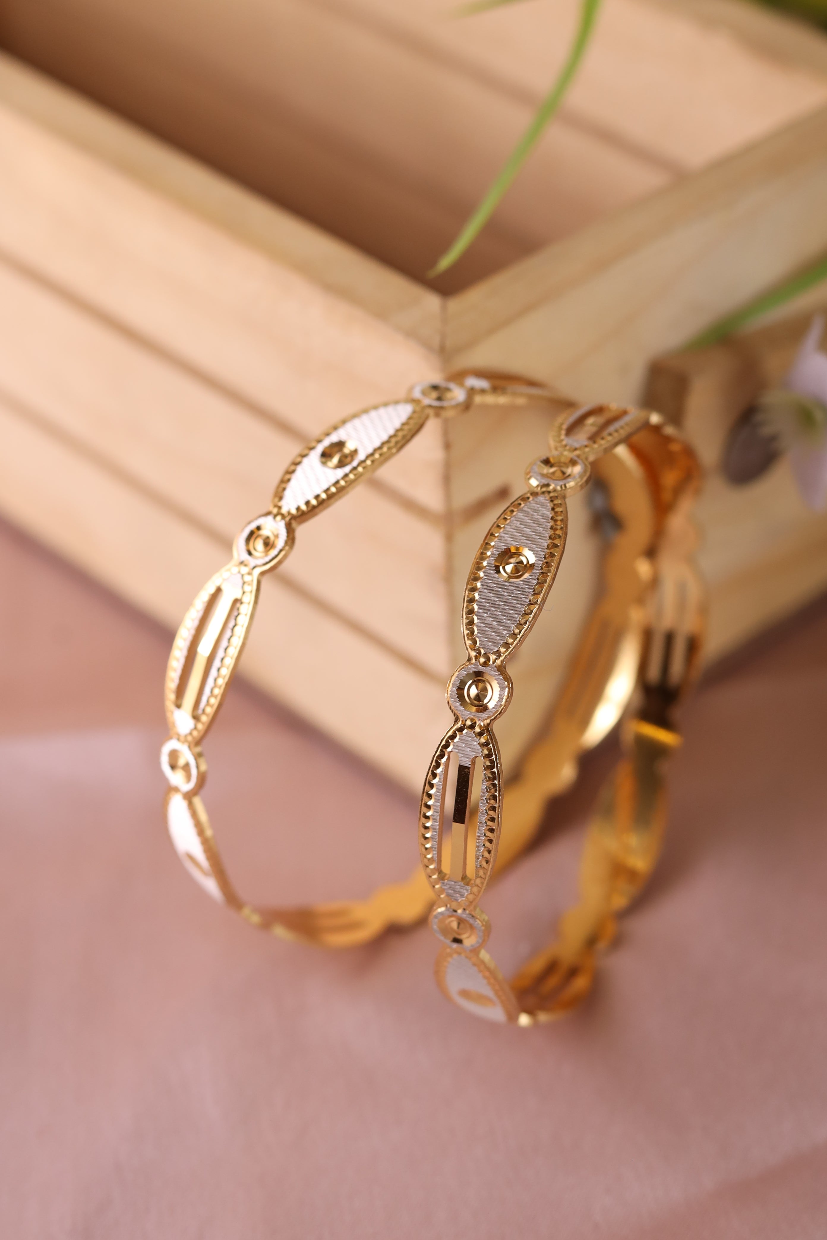 Bhavna Bangle. ( Set of 2 )