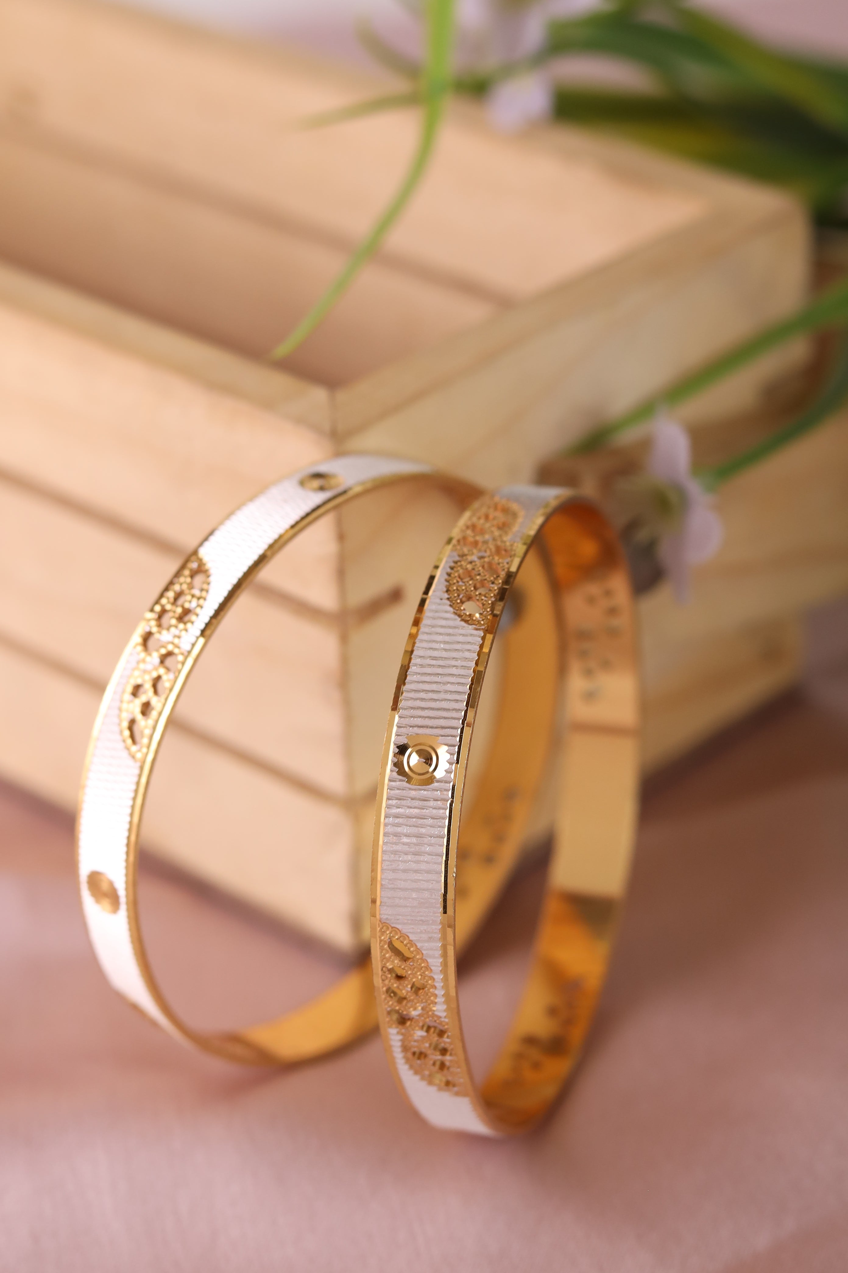 Jasmine Bangle ( Set of 2 )