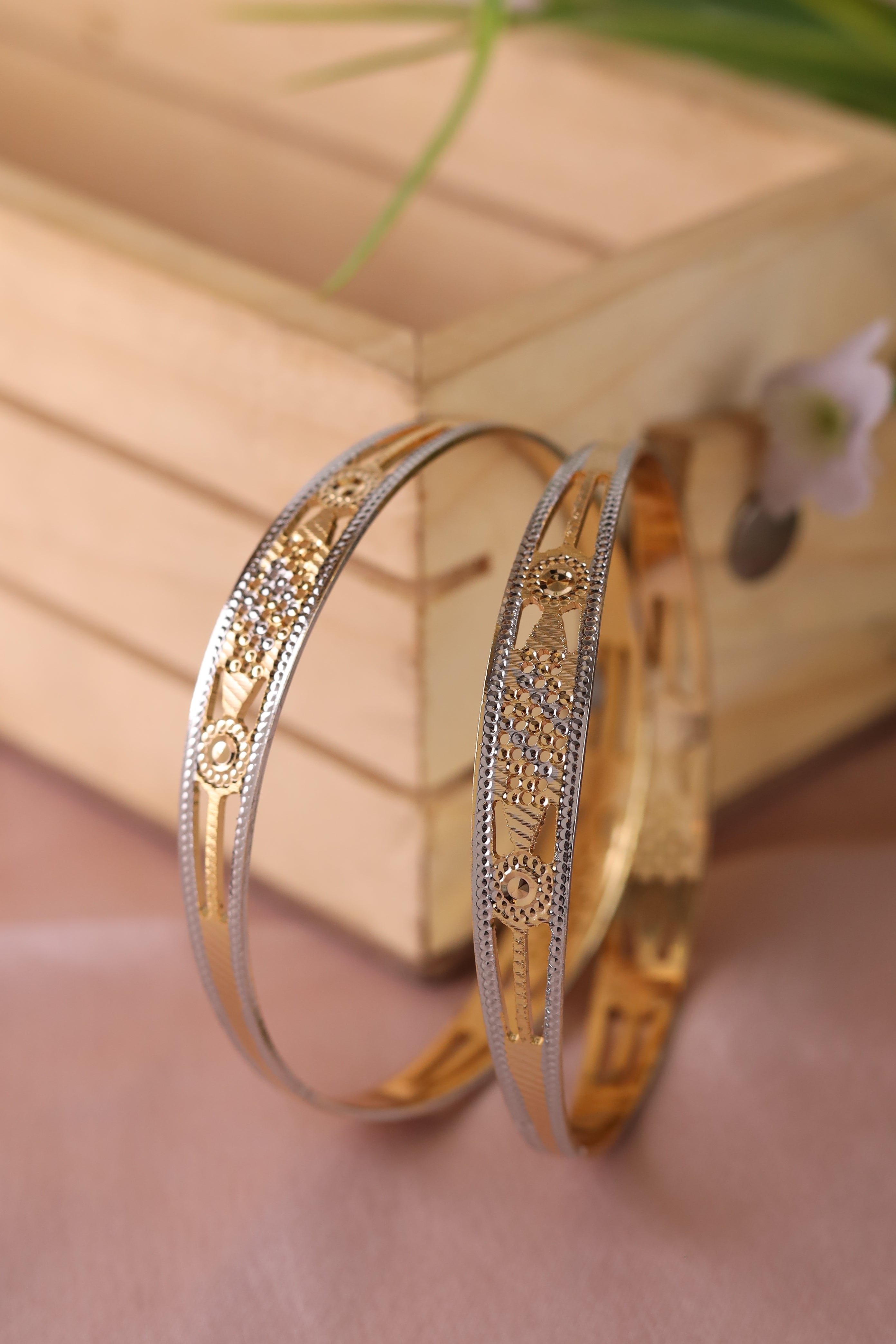 Disha Designer Bangle. ( Set of 2)